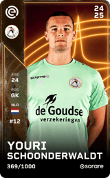 Youri Schoonderwaldt - limited