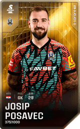 Josip Posavec - limited