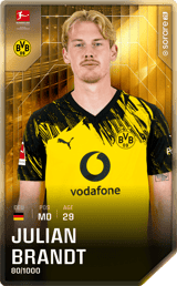 Julian Brandt - limited
