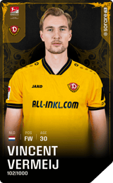 Vincent Vermeij - limited