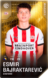 Esmir Bajraktarevic - limited