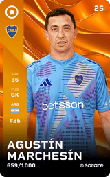 Agustín Marchesín - limited