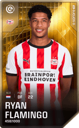 Ryan Flamingo - limited