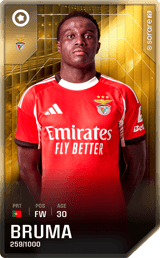 Bruma - limited