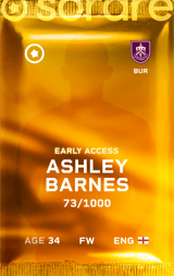 Ashley Barnes - limited