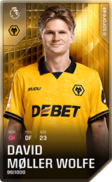 David Møller Wolfe - limited