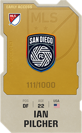 Ian Pilcher - limited