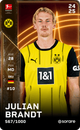 Julian Brandt - limited