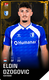 Eldin Dzogovic - limited