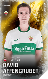 David Affengruber - limited