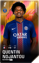 Quentin Ndjantou - limited