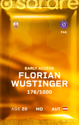 Florian Wustinger - limited