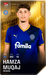 Hamza Muqaj - limited