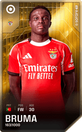 Bruma - limited