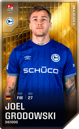 Joel Grodowski - limited