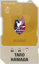 Taro Hamada - limited