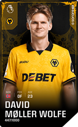 David Møller Wolfe - limited