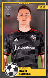 David Schnegg - limited