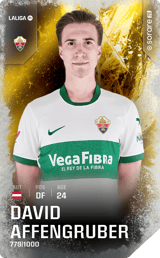 David Affengruber - limited