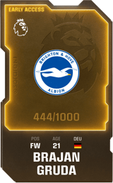 Brajan Gruda - limited