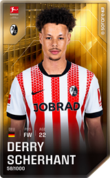 Derry Scherhant - limited