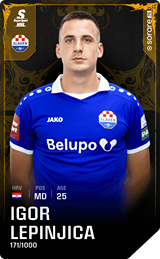Igor Lepinjica - limited