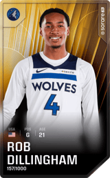 Rob Dillingham - limited