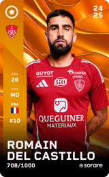 Romain Del Castillo - limited