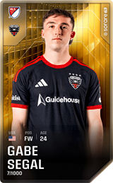 Gabe Segal  - limited