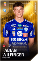 Fabian Wilfinger - limited