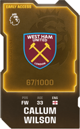Callum Wilson - limited