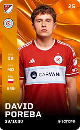 Dawid Poręba - limited