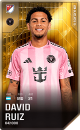 David Ruíz - limited