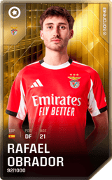 Rafael Obrador - limited