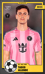 Tadeo Allende - limited
