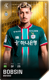 BOBSIN PEREIRA VICTOR - limited