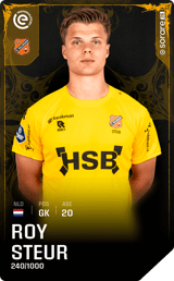 Roy Steur - limited