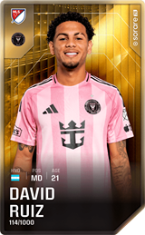 David Ruíz - limited