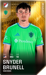Snyder Brunell - limited