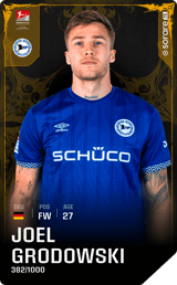 Joel Grodowski - limited