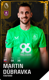 Martin Dúbravka - limited