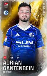 Adrian Gantenbein - limited