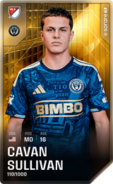 Cavan Sullivan - limited