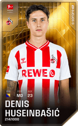 Denis Huseinbašić - limited