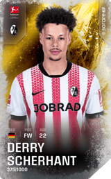Derry Scherhant - limited