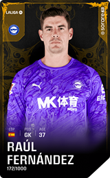 Raúl Fernández - limited