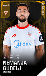 Nemanja Gudelj - limited