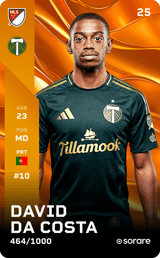 David Pereira da Costa - limited