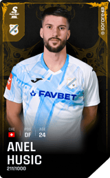 Anel Husic - limited