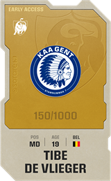 Tibe De Vlieger - limited